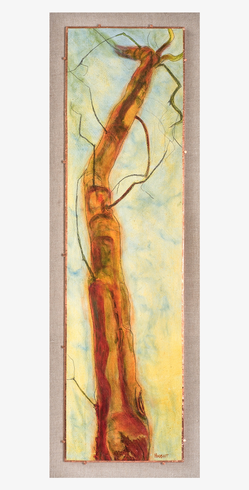 Arborvitae Xii, 38" - Arborvitae, transparent png