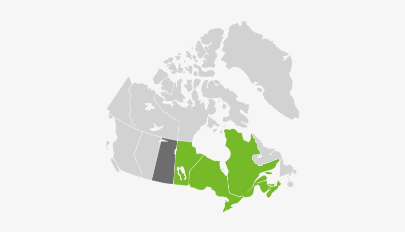Thuja Occidentalis - Religious Map Of Canada, transparent png