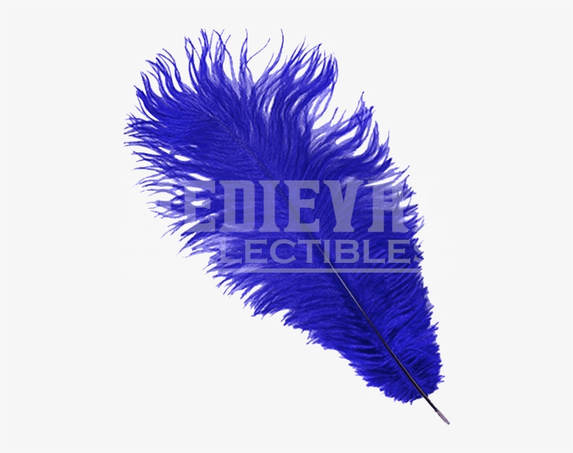 Regal Blue Ostrich Feather Plume - Plume Feathers Png, transparent png