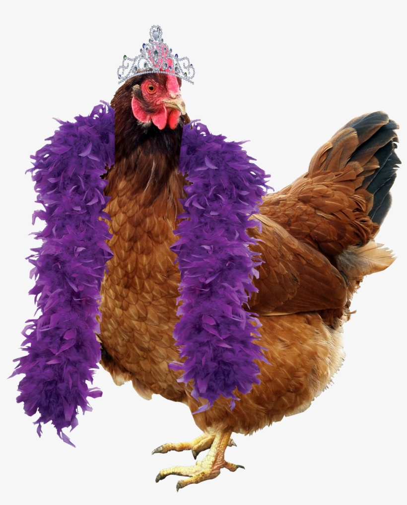 One Hen Per Person - Chicken, transparent png