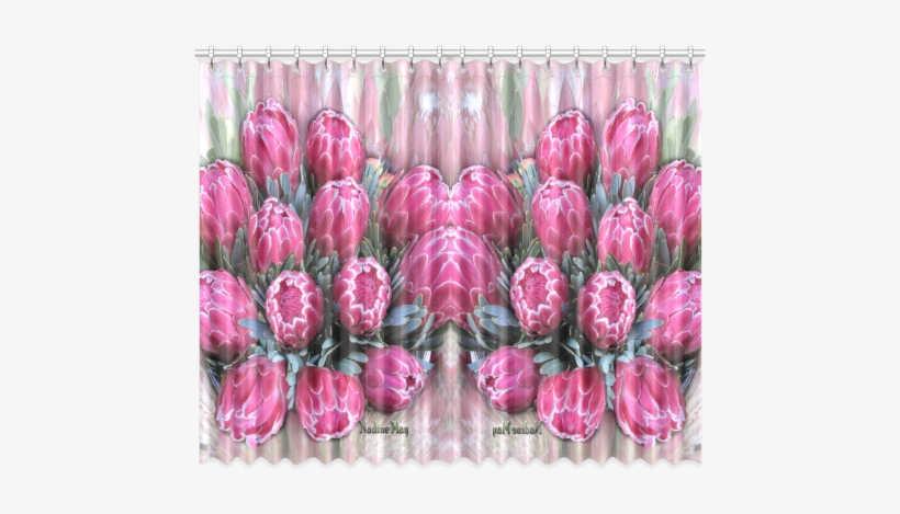 Pink Ice Protea Window Curtain 52"x84" - Window, transparent png