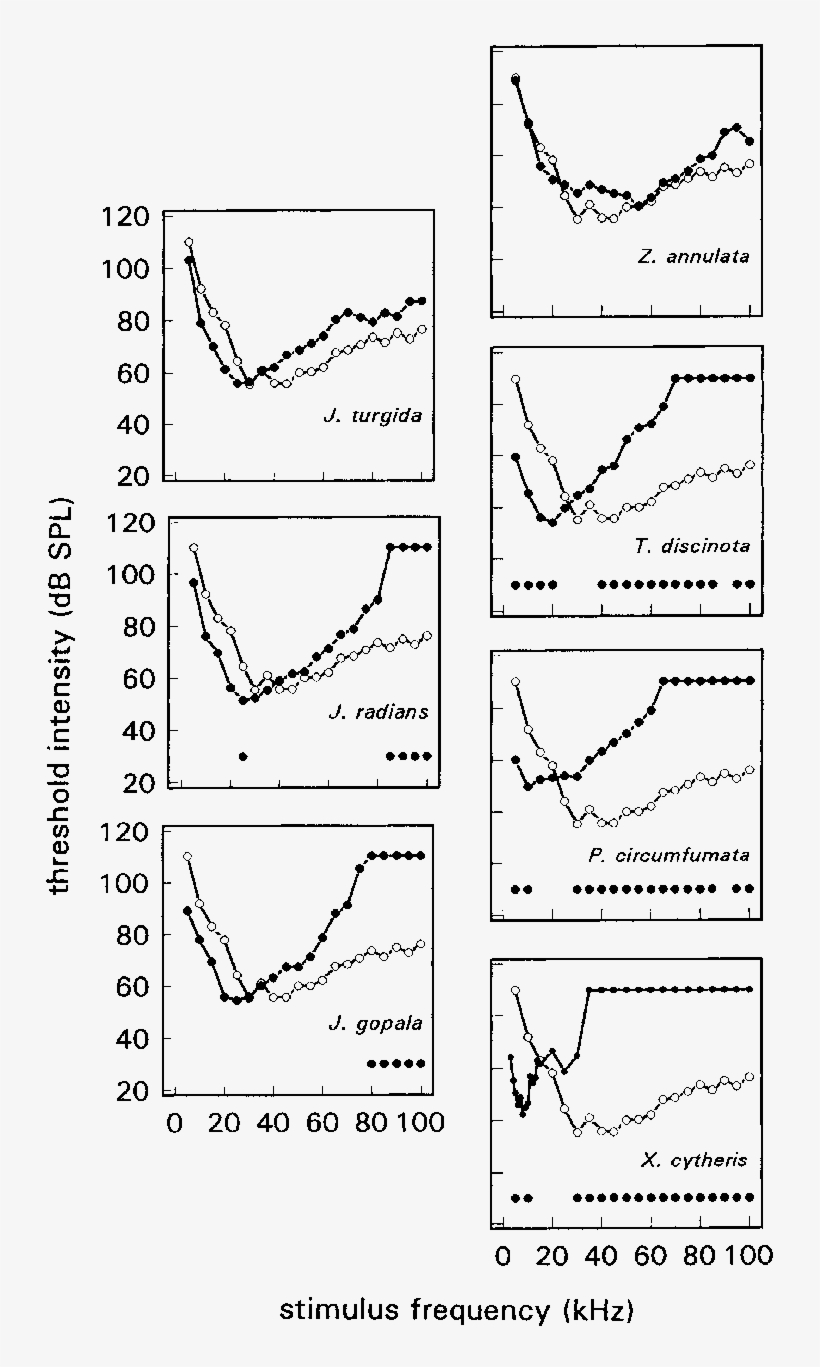 Statistical Comparisons Of Median Audiograms Of The - Statistics, transparent png