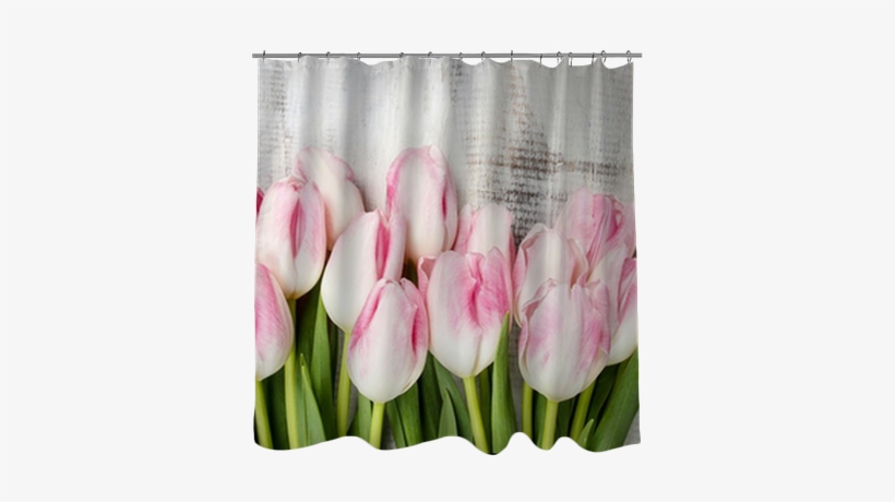 Beautiful Pink And White Tulips On Wooden Background - Cute Beaver Pond Shower Curtain Color Animal Themed, transparent png