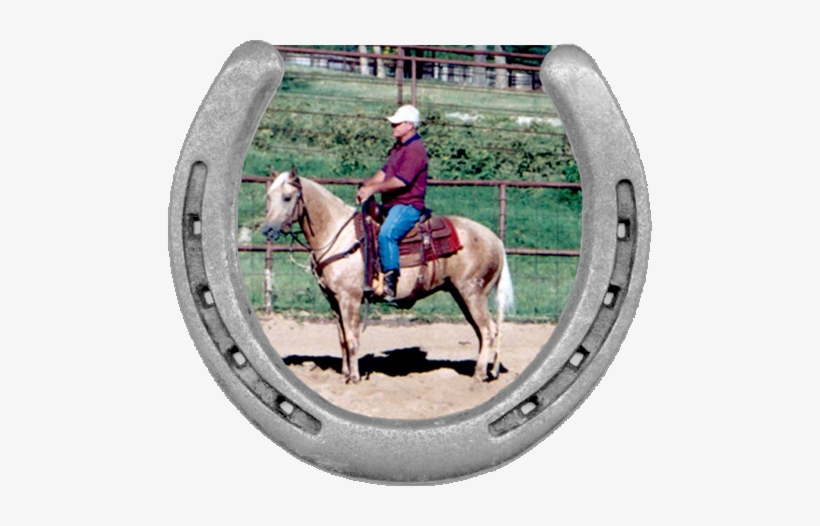 Slynxin - Stallion, transparent png