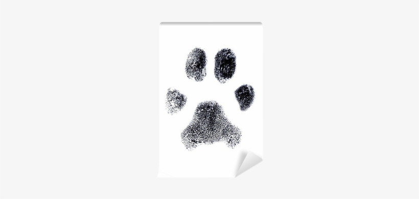 Dog Fingerprint, transparent png