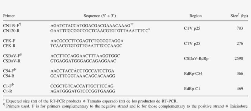 Specifics Primers Used To Detect Citrus Tristeza Virus - Secuencia De Un Gen, transparent png