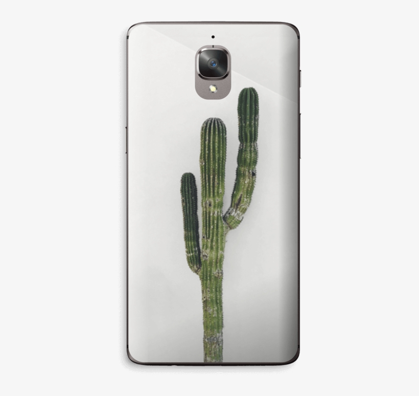 Mexican Cactus - Oneplus 3t, transparent png
