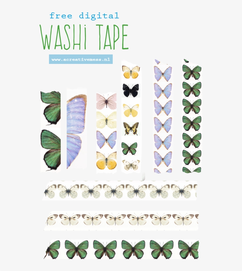 Washi Tape - Bien Dans Sa Vie - Trade Paperback, transparent png