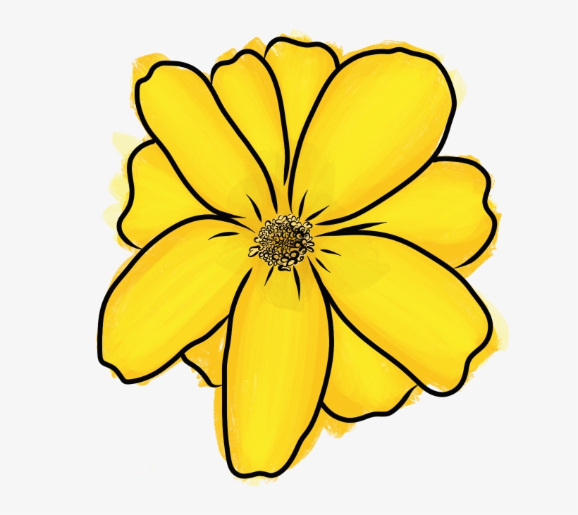 Mexican Tarragon - Tagetes Lucida, transparent png