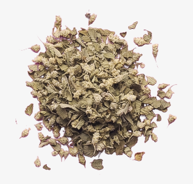 Reviews - Hydrangea, transparent png