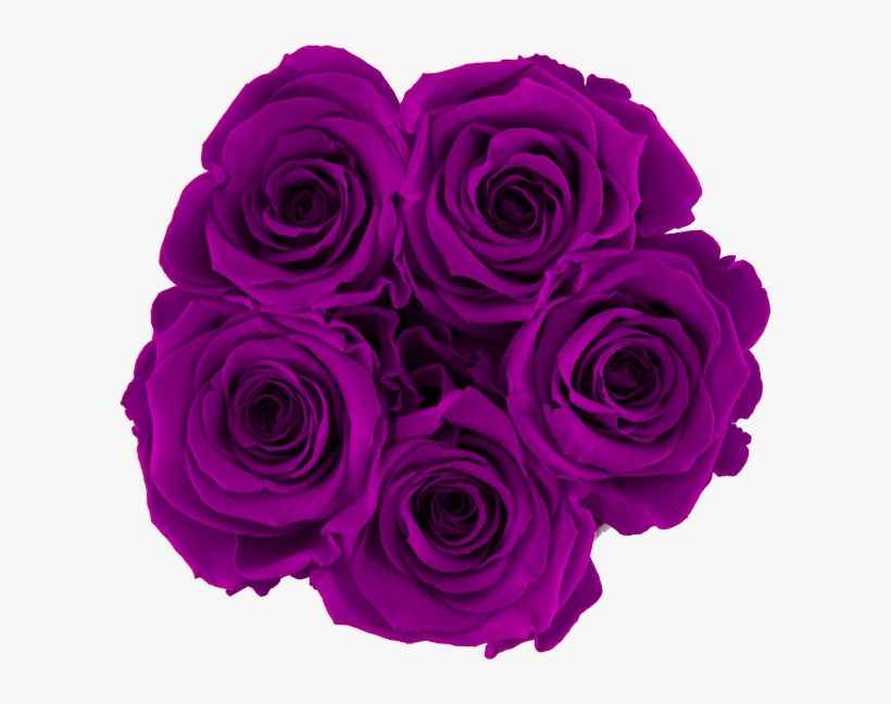 Prev - Roses In A Box - Bella's Flower Shop, transparent png
