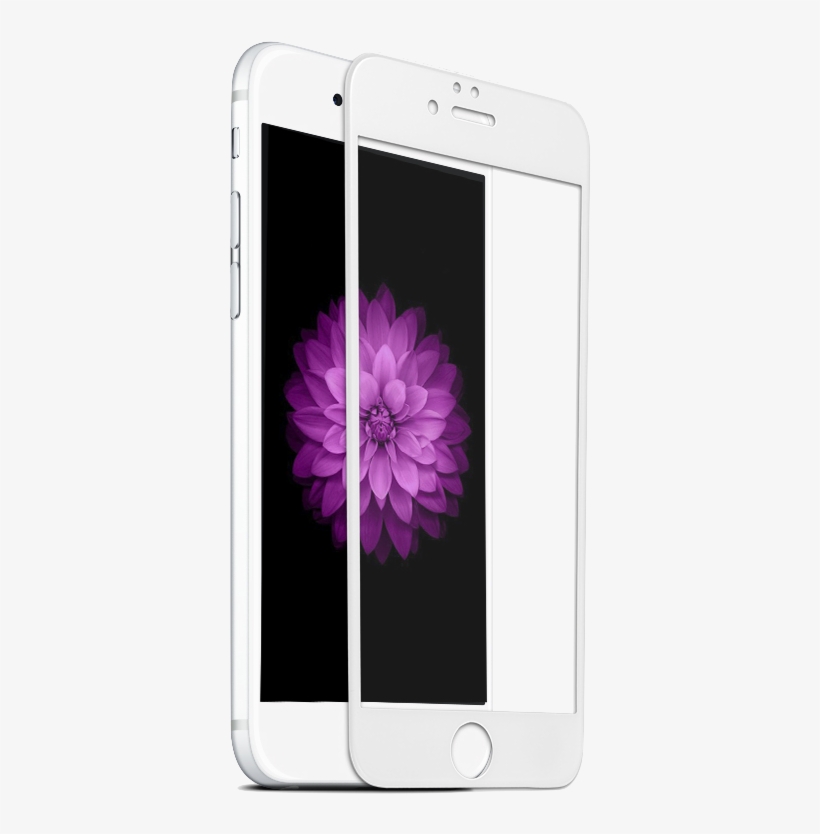 33mm 9h Strong Hardness Iphone 7 Plus Full Screen Tempered - Tempered Glass 6d Iphone, transparent png