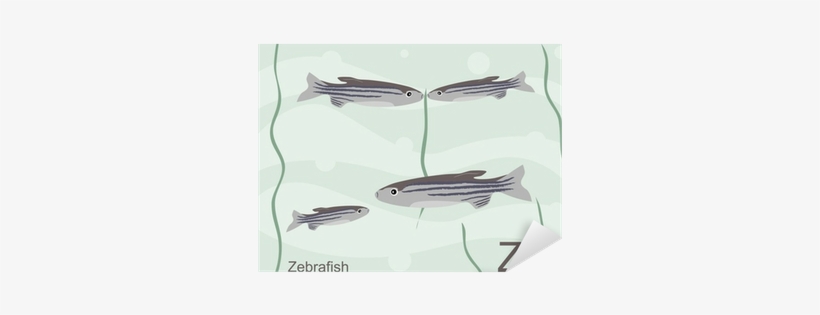 Vinilo Pixerstick Tarjeta De Destello Del Alfabeto - Alphabet Animals, transparent png