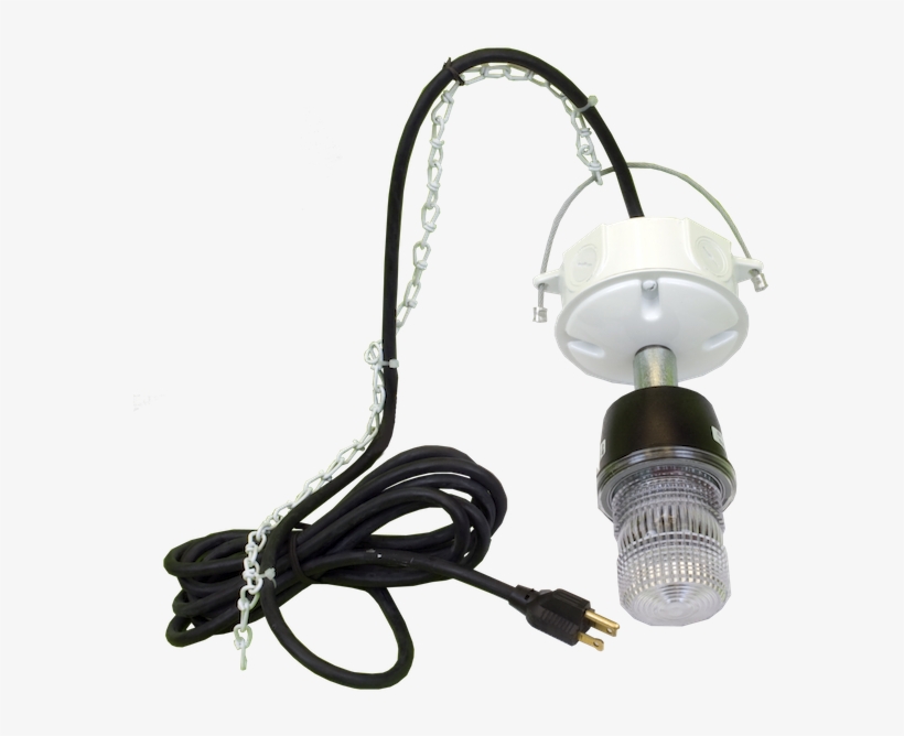 Evictor Strobe Lights For Squirrels In Attics Evictor Strobe Light
