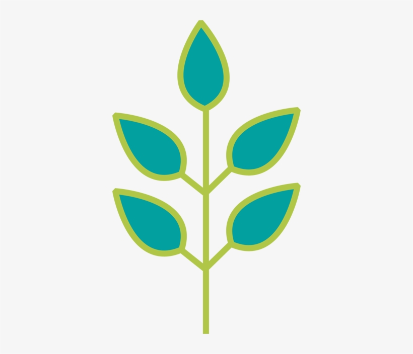 Vinilo Infantil Rama Y Hojas Verdes - Ramas Con Hojas Dibujos, transparent png