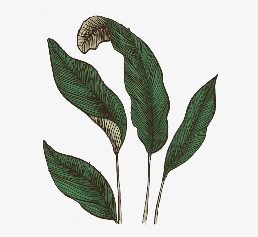 Art, transparent png