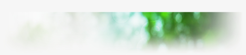 Determining - Macro Photography, transparent png