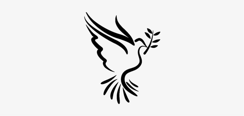 Cor Do Fundo - Dove Christian, transparent png