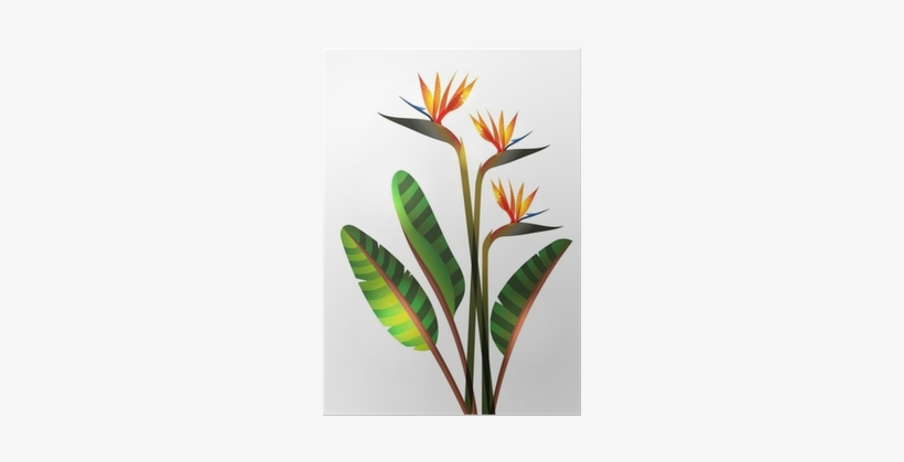 World Menagerie Greve Strand Flower Ombre Colored Botanic, transparent png