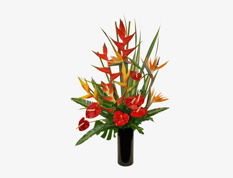 Double "b" Exotic Gardens, Established In 1981, Was - March 8, transparent png