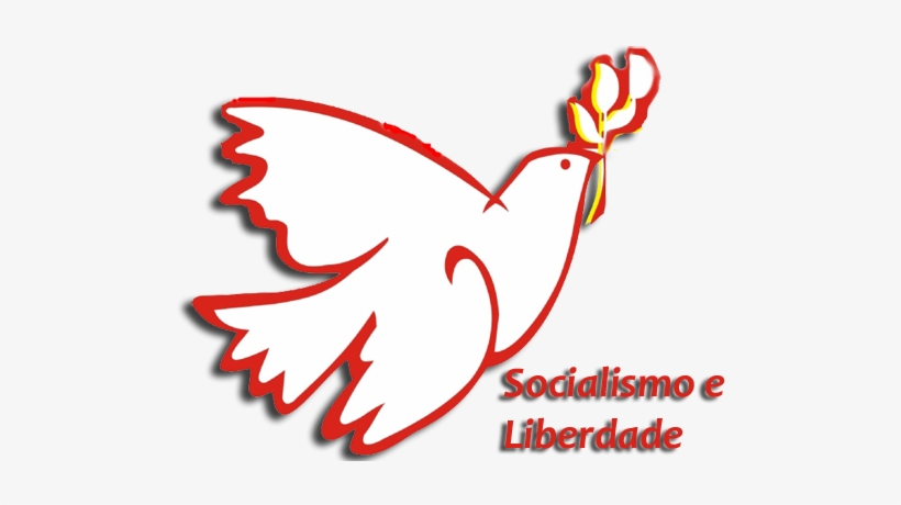 A Célebre Pomba Em Voo Livre Com Uma Flor No Bico,, transparent png