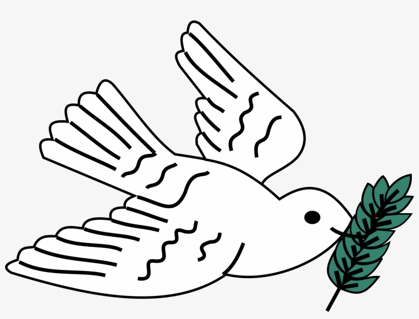 Open - Pigeons And Doves, transparent png