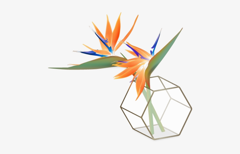Art, transparent png