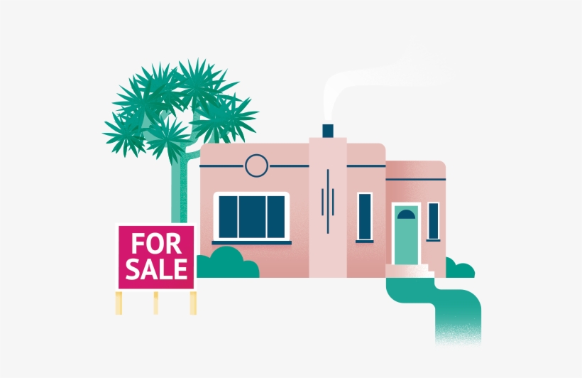 This Information On Learning About The Property May - Sabal Palmetto, transparent png
