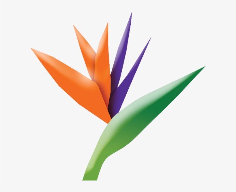 Tlp Logo - Bird Of Paradise, transparent png