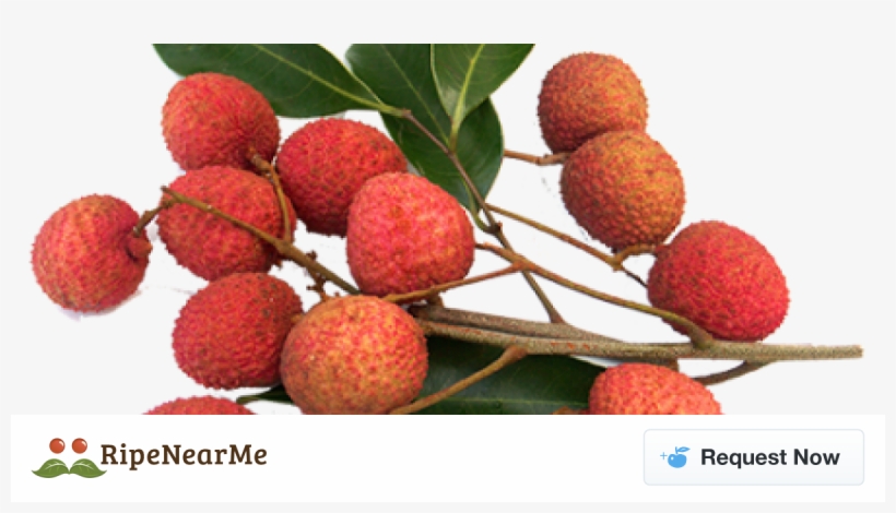 Lychees Fruit, transparent png
