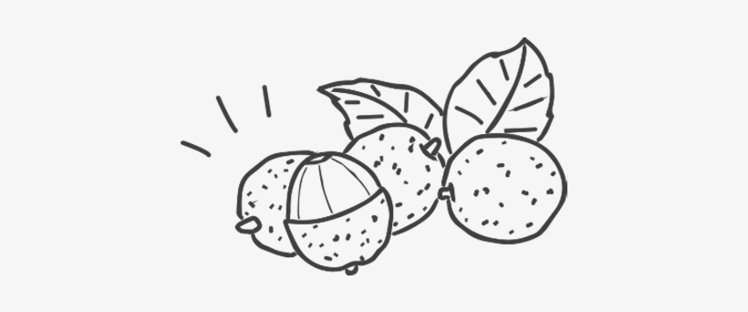 Green Tea - Lychee - Line Art, transparent png