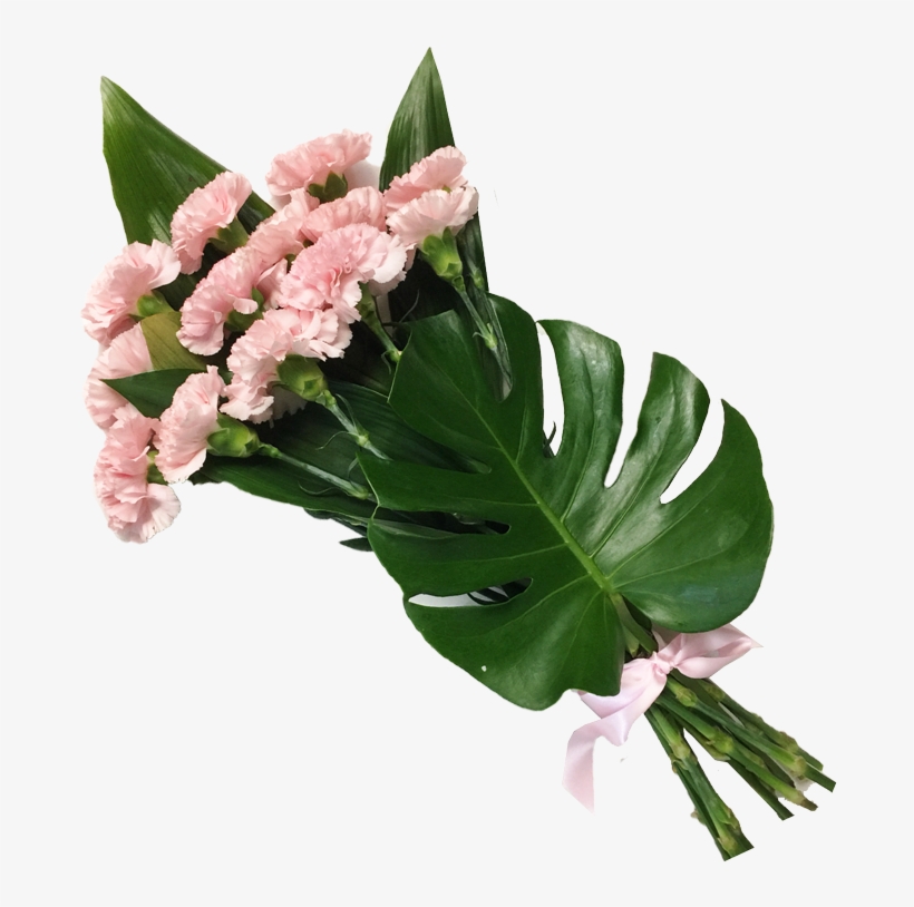 Carnation Bouquet - Carnation, transparent png