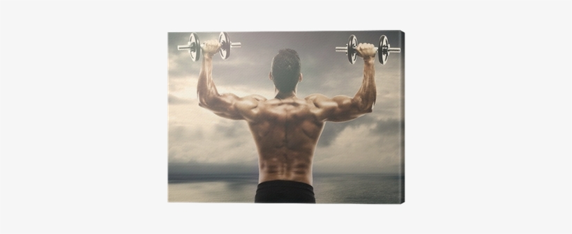 Weight Training, transparent png