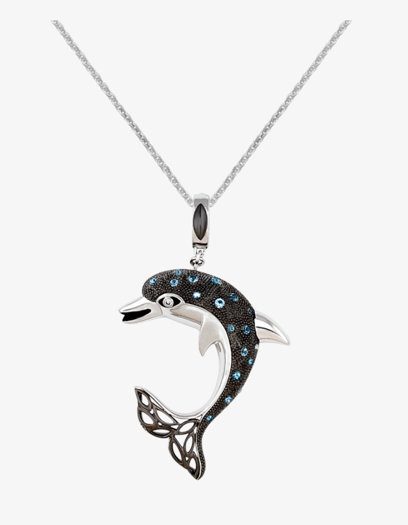 Dolphin Life Link - Dolphin, transparent png