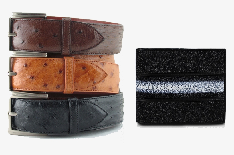 Exotic Skin Goods - Belt, transparent png