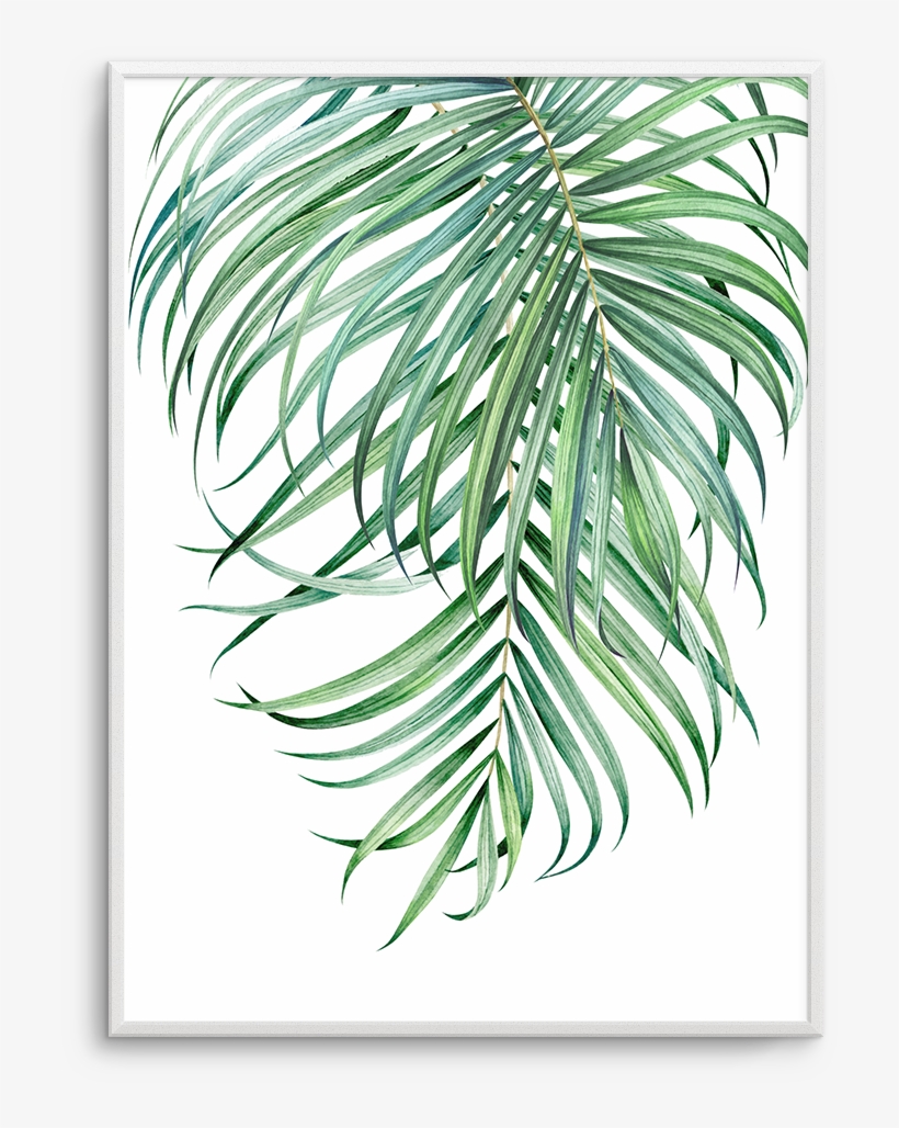 Watercolour Palms No 2 - Watercolor Painting, transparent png