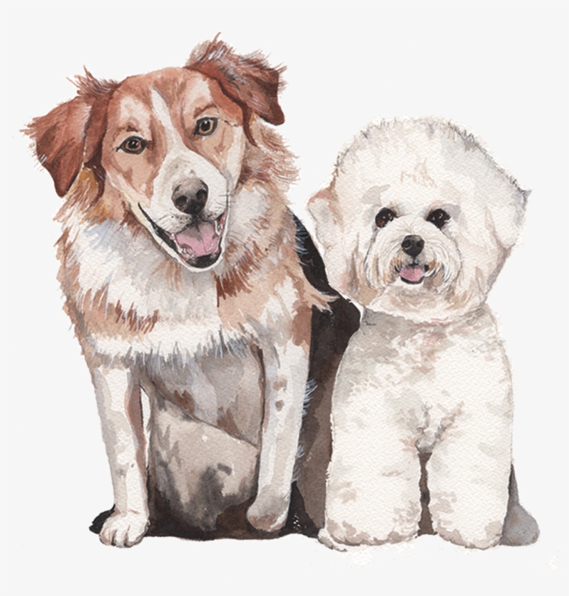 Custom Watercolor Pet Portrait - Watercolor Dog Png, transparent png