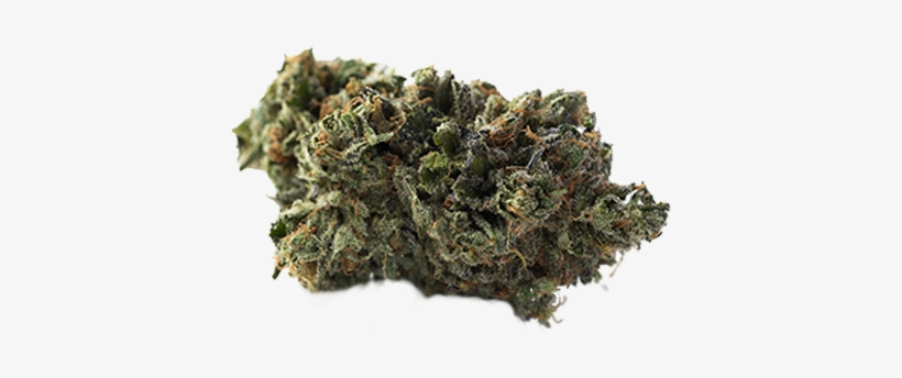 Og Kush - Bud Marijuana, transparent png