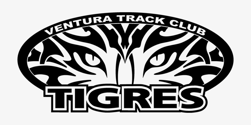 Tigres Black Png Lg - Tribal Tiger, transparent png