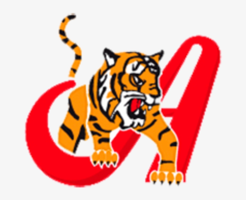 Tigres Clipart Cool - Logos De Equipos De Beisbol Venezolano, transparent png