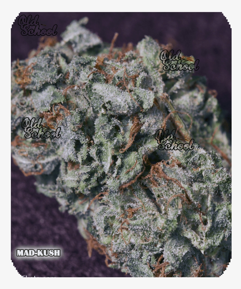 Mad Kush - Kush, transparent png
