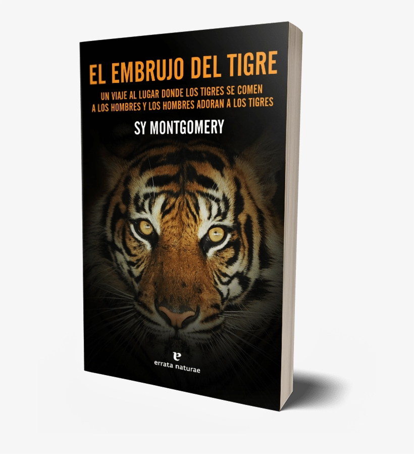 El Embrujo Del Tigre - Mojo Presents Well All Right, transparent png