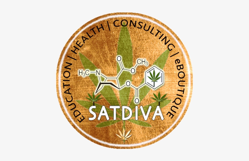 News Feeds - Emblem, transparent png