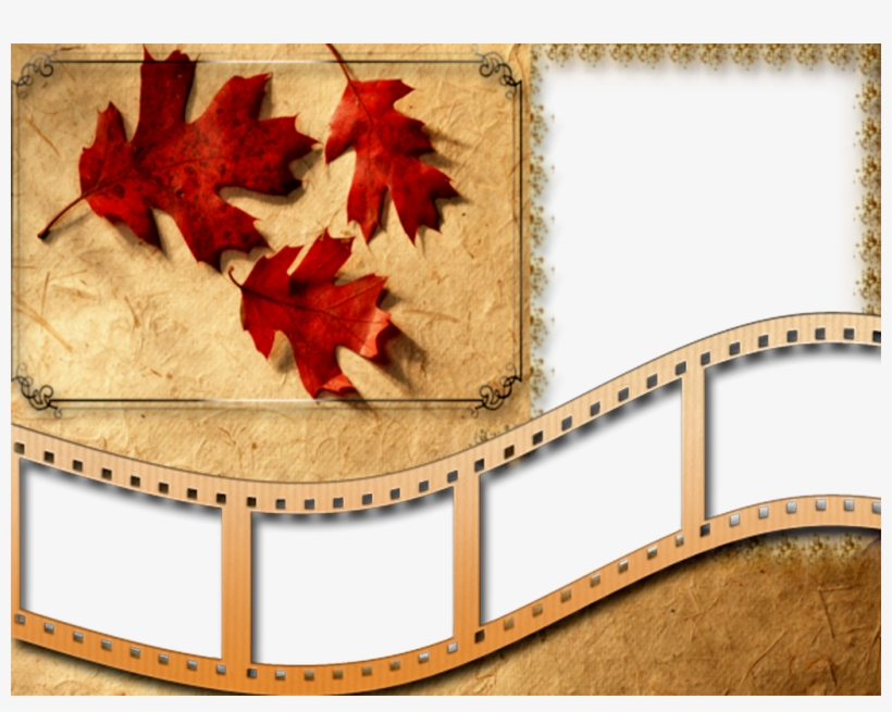 Cds Relacionado Que Você Pode Gostar De Ouvir - عکس پاییز با متن, transparent png