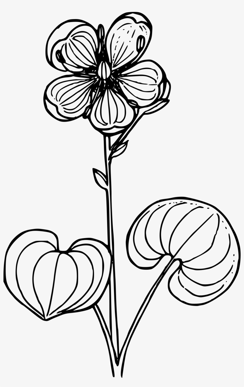 This Free Icons Png Design Of Grass Of Parnassus, transparent png