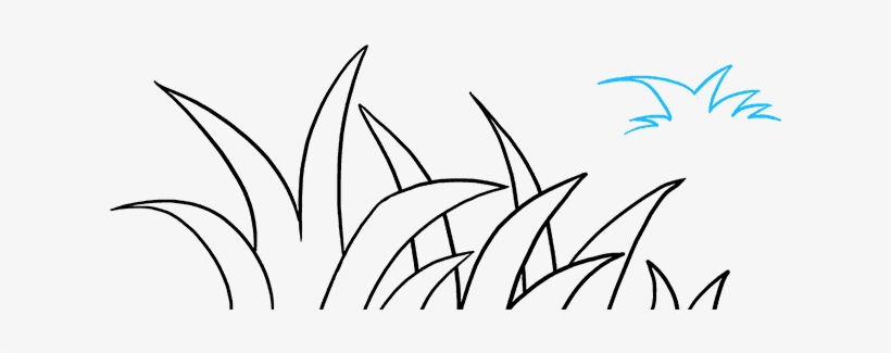 How To Draw Grass - Drawing, transparent png