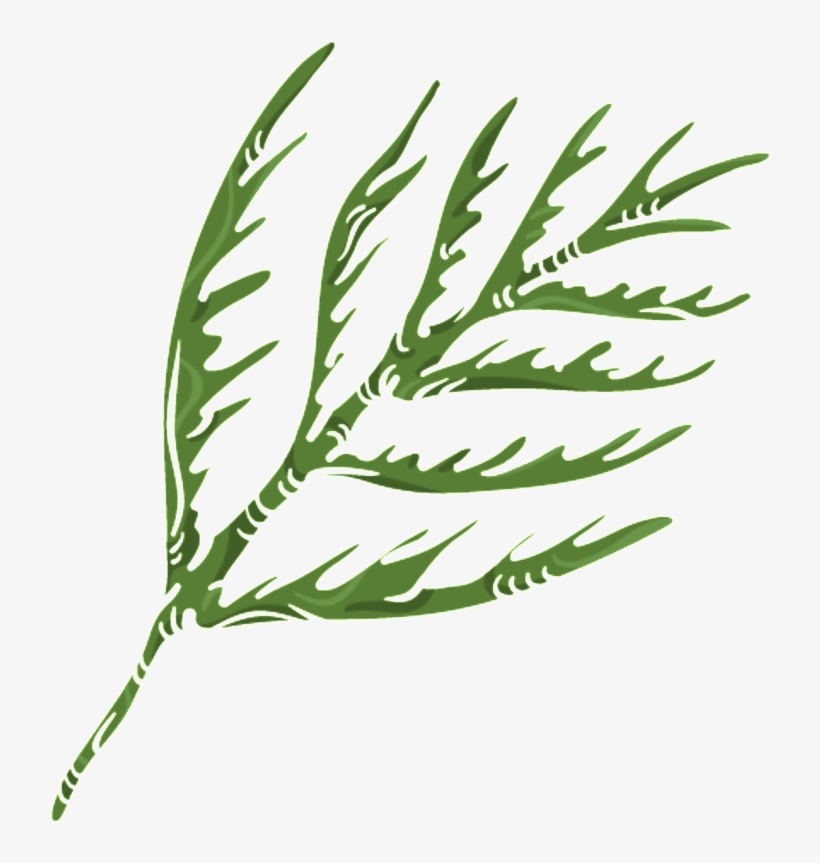 Green Coral Grass Png Transparent - Portable Network Graphics, transparent png