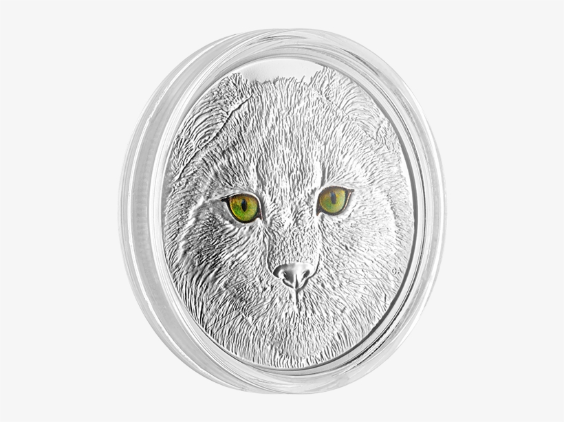 Silver, transparent png