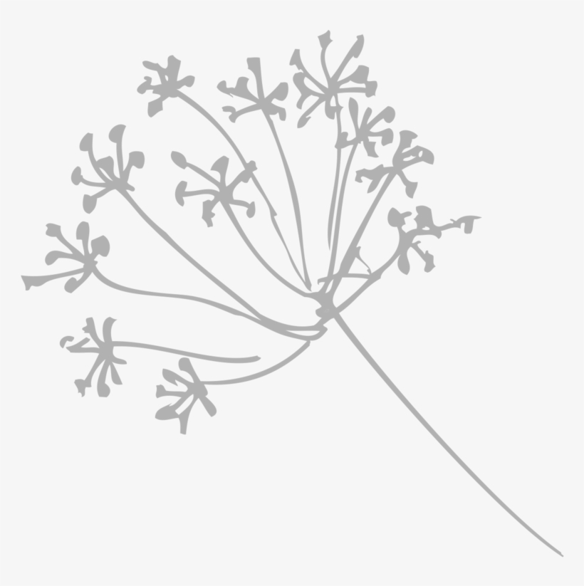 Place Holder - Portable Network Graphics, transparent png