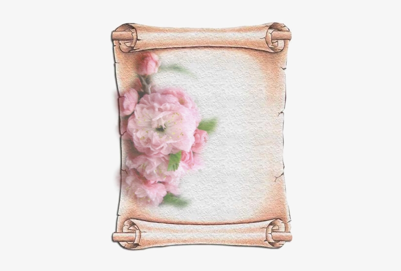 Pergaminhos Em Branco, Papiros,scrolls,papyri, Com - Geographics 46886s Design Suite Paper, 24 Lbs, Scroll,, transparent png